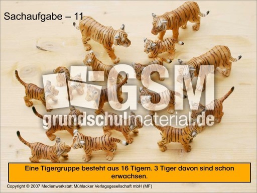 Präsentation-Sachaufgabe-11.pdf